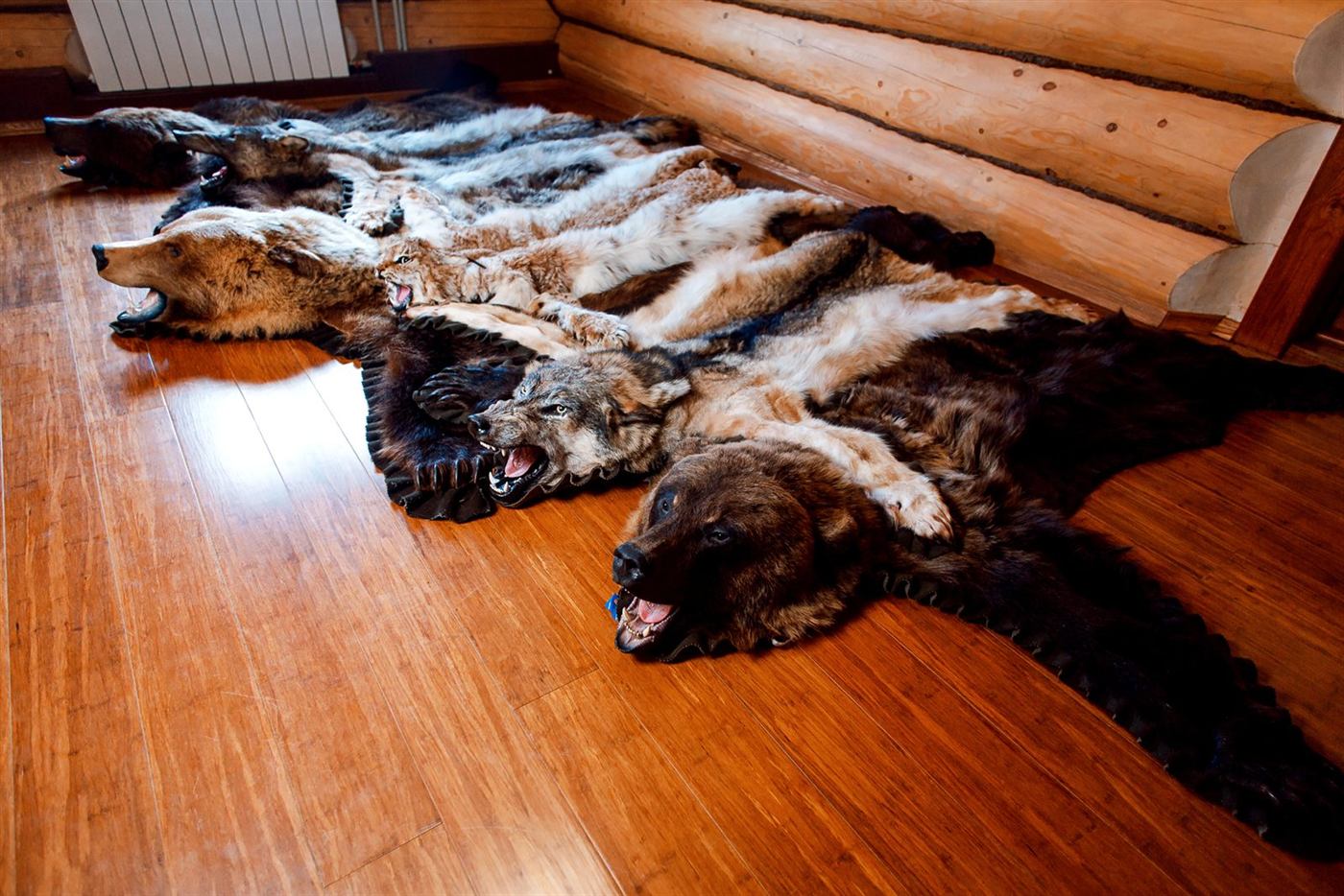 Rugs and hides