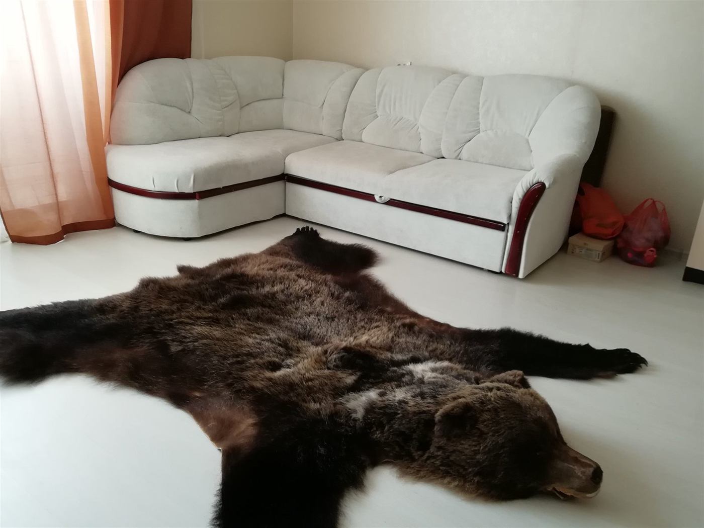 Rugs and hides 1