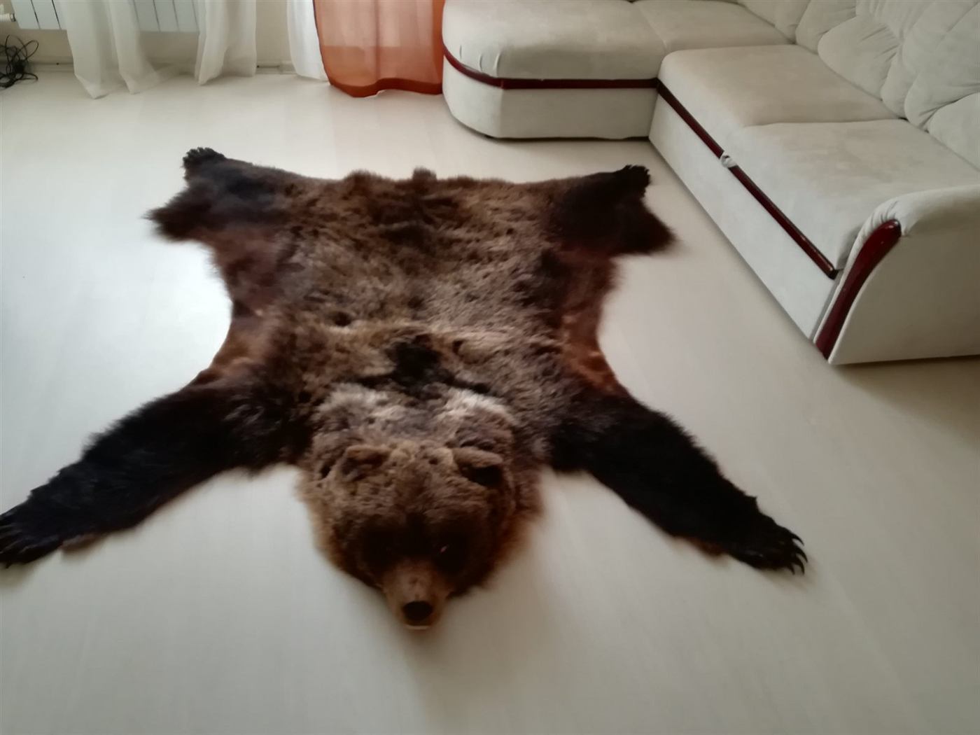 Rugs and hides 2